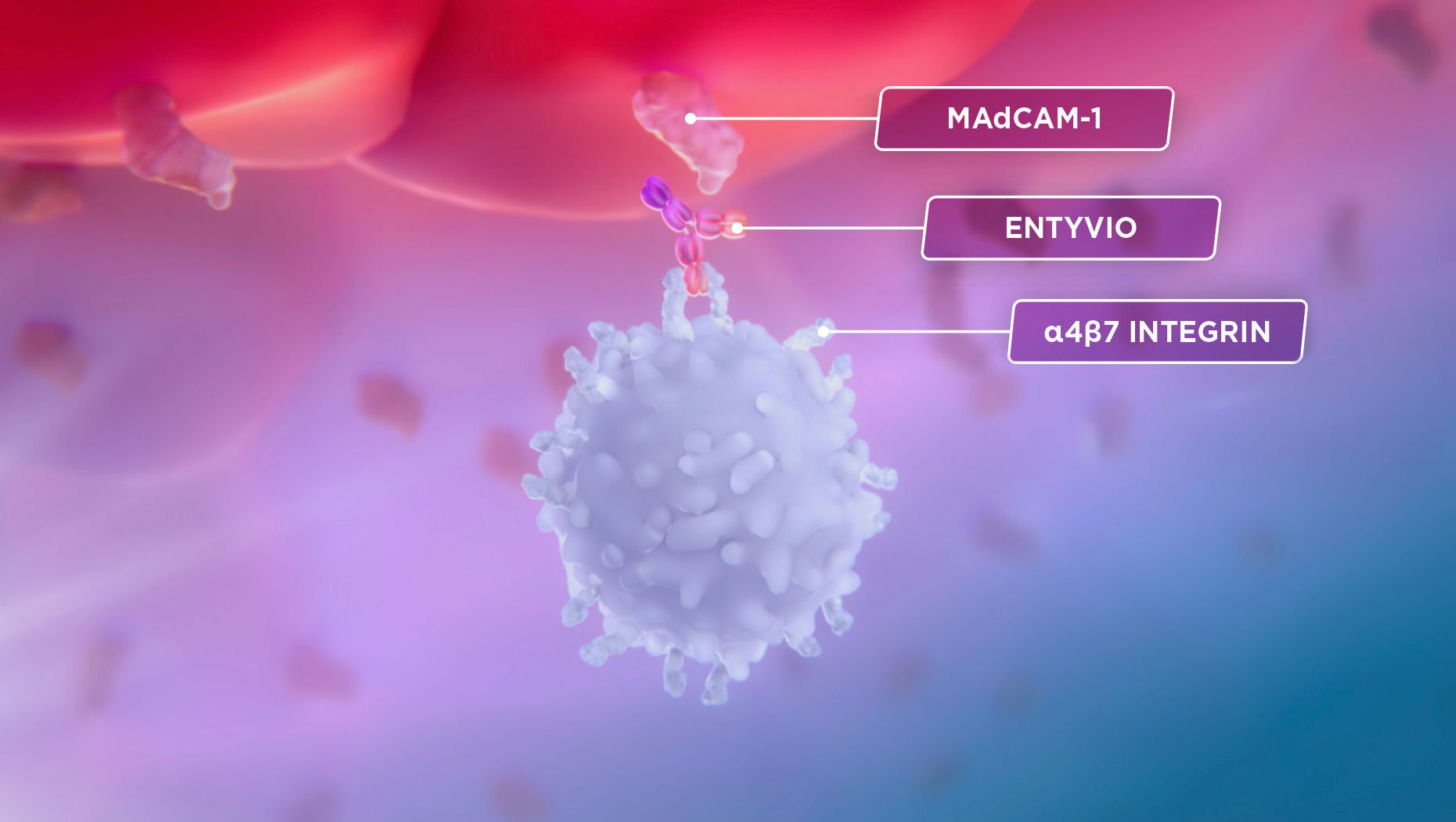 Monoclonal antibody ENTYVIO binding to the α4β7 integrin, which blocks its interaction with MAdCAM-1.